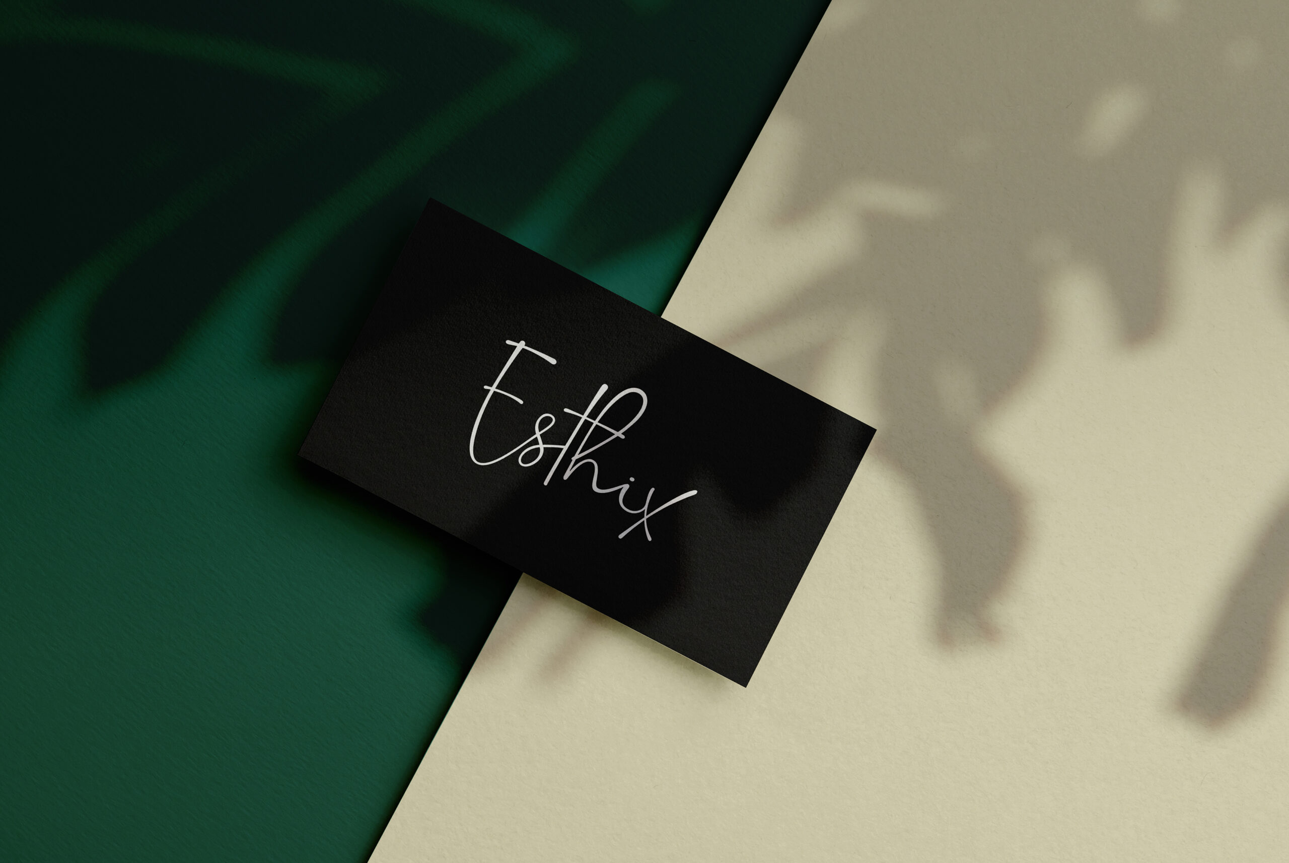 Picture of Esthix logo on a business card